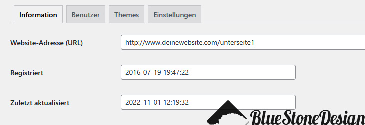 wordpress multisite domain 1